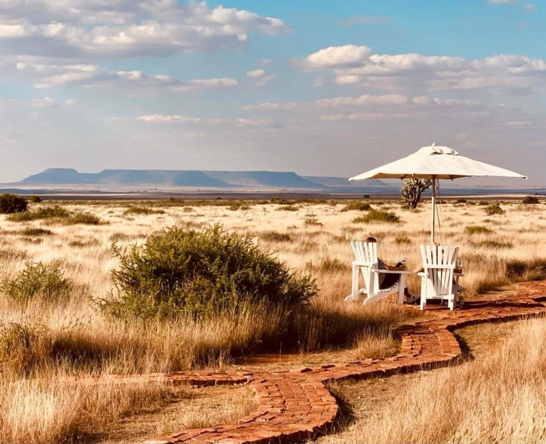 Introducing The Sauer Collection to The Sauer Group